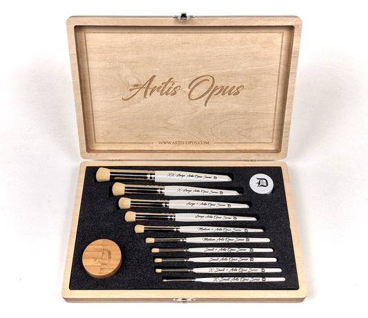 NEW Series D-PLUS Complete 10-Brush Set