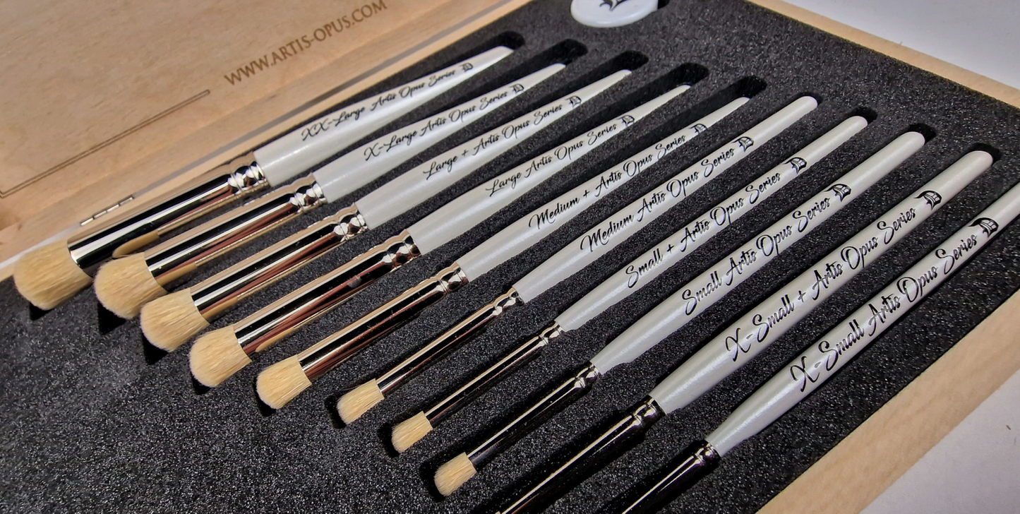 NEW Series D-PLUS Complete 10-Brush Set