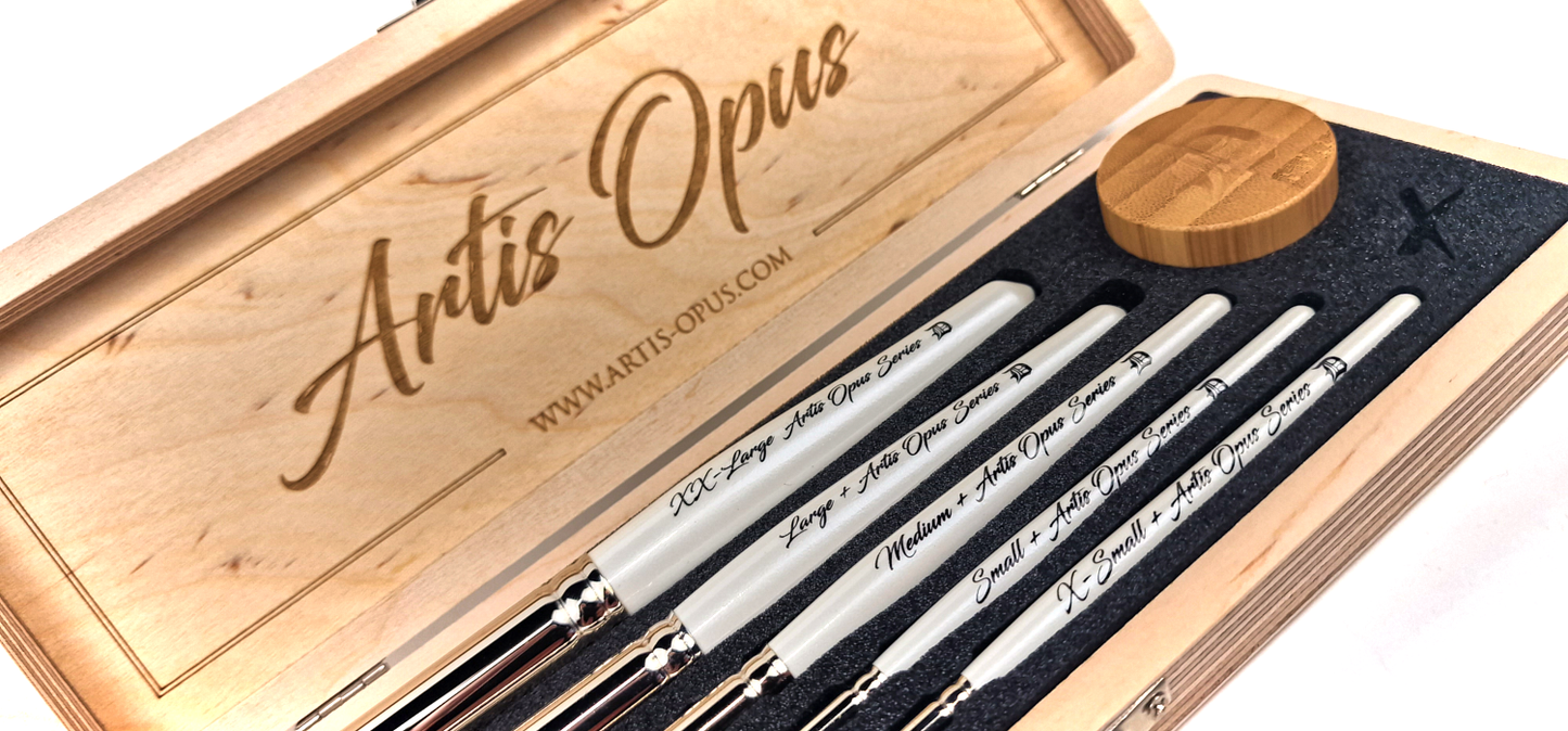 NEW Series D-PLUS 5-Brush Set