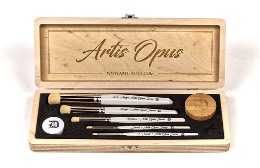 NEW Series D-PLUS 5-Brush Set