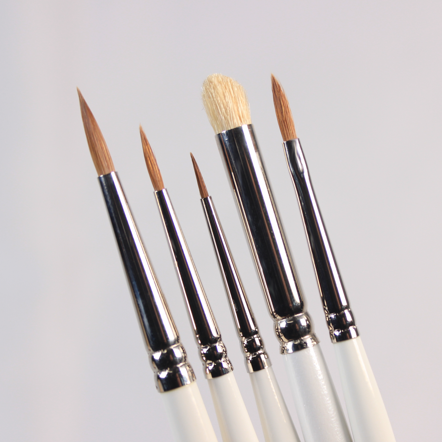 Richard Gray - Mixed Brush Set (5 Brush DELUXE)